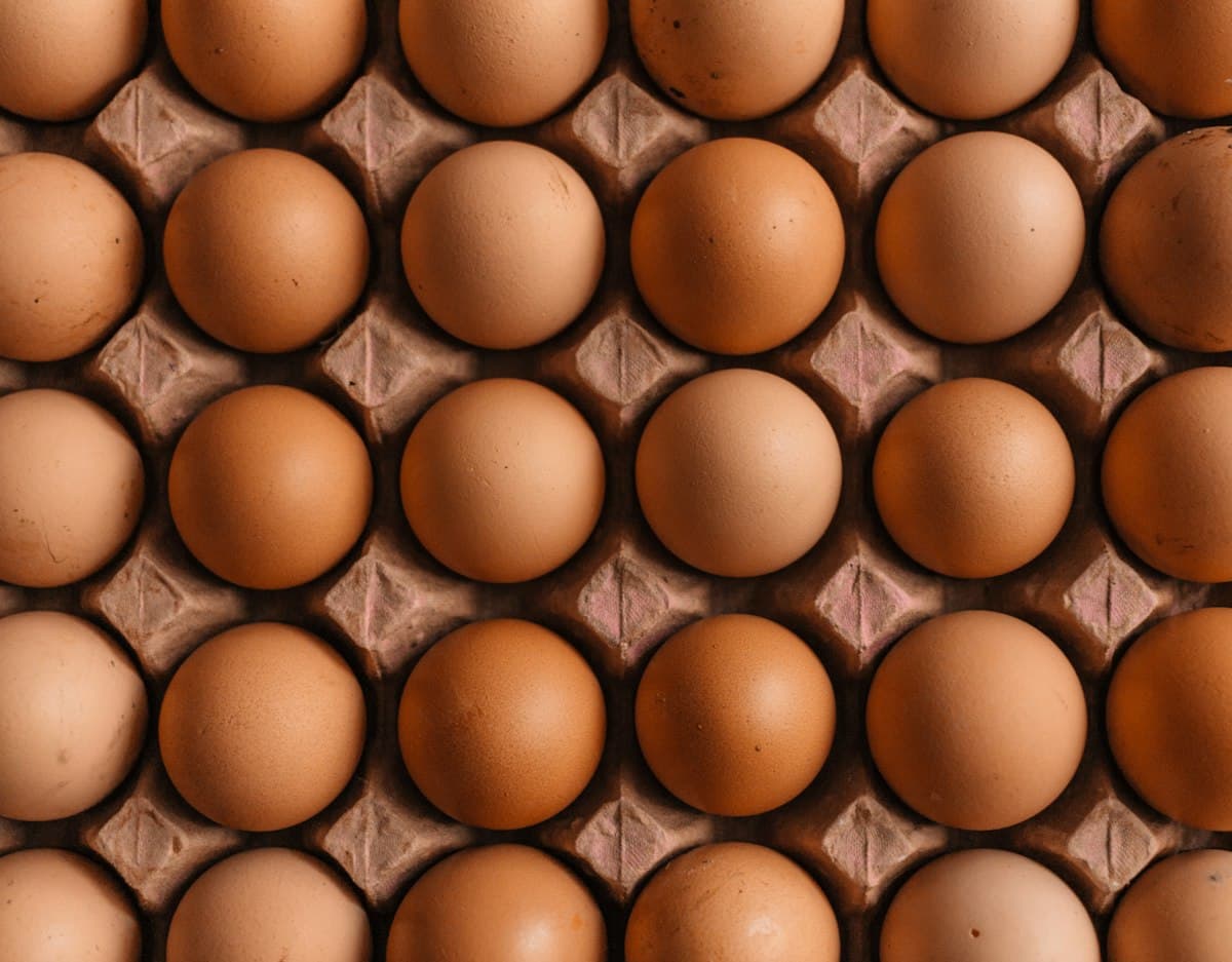 Farm Fresh Eggs