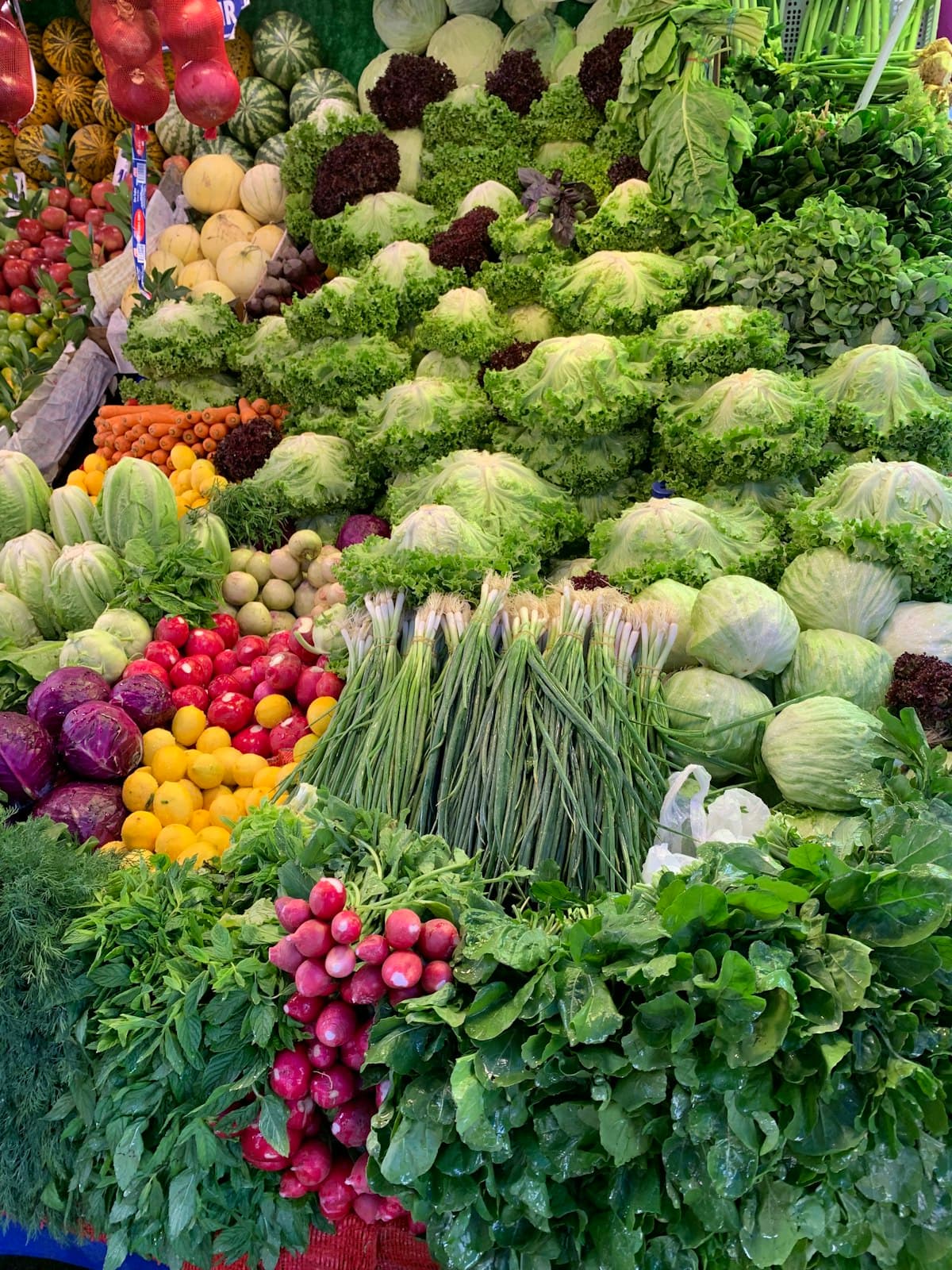 Fresh green vegetables and radishes