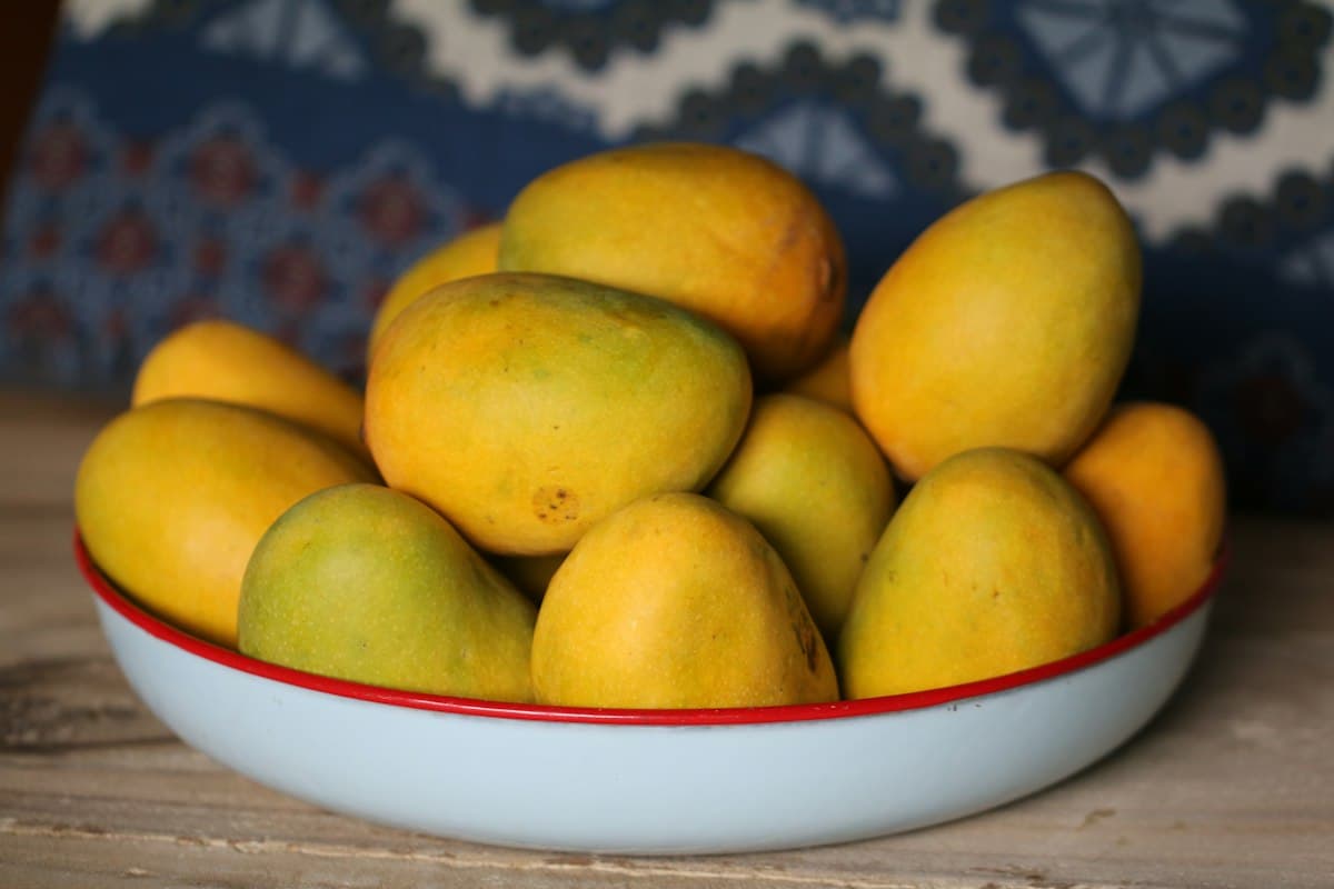 Himsagar Mango, Rajshahi