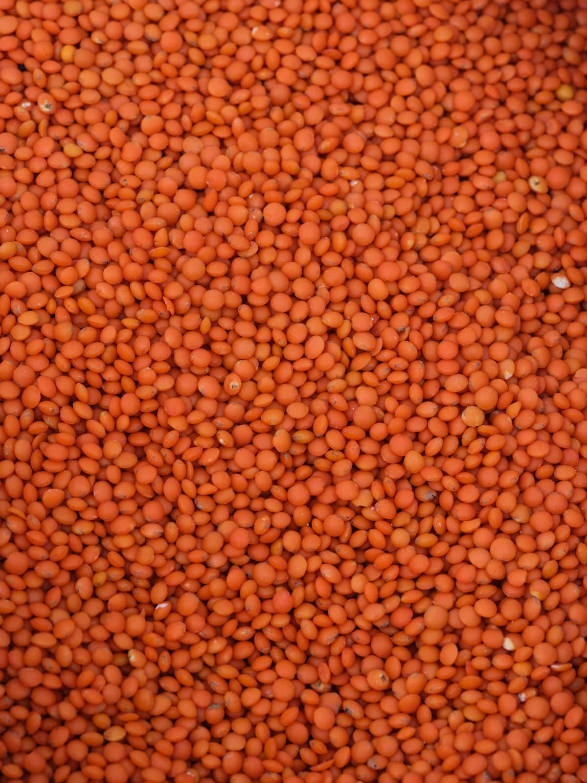 Desi Masoor Dal (Red Lentils)