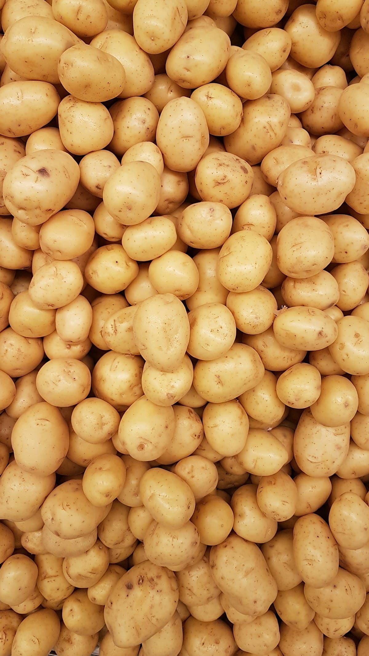 Fresh Potato (Diamond)