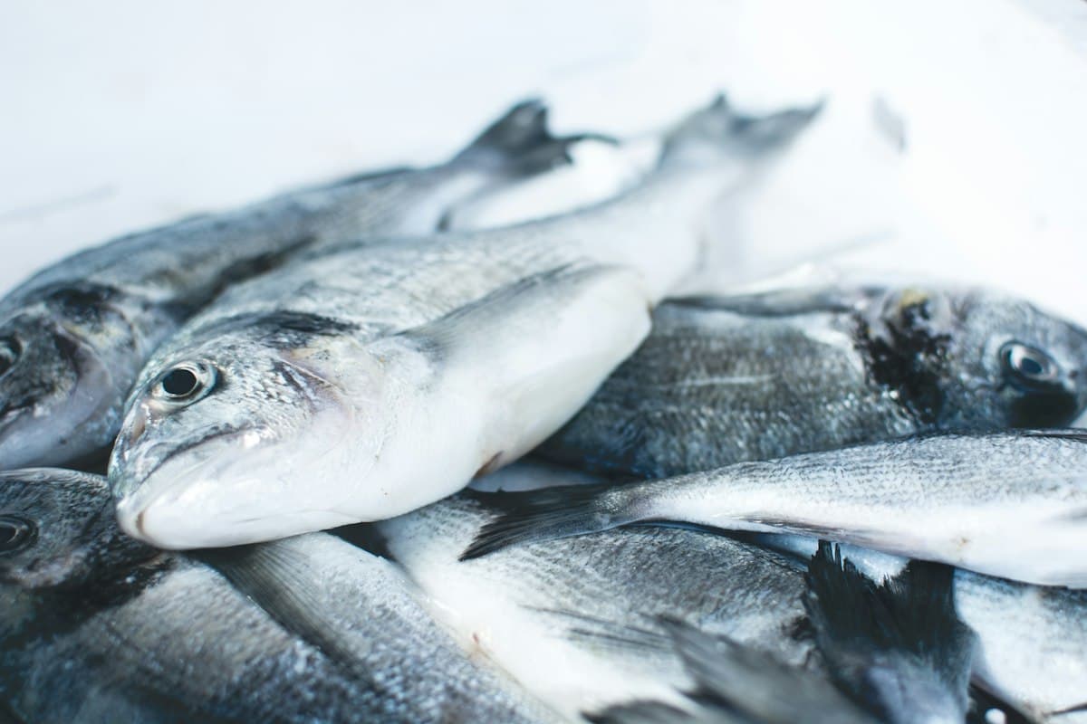 Rohu Fish (Rui), Cut Pieces