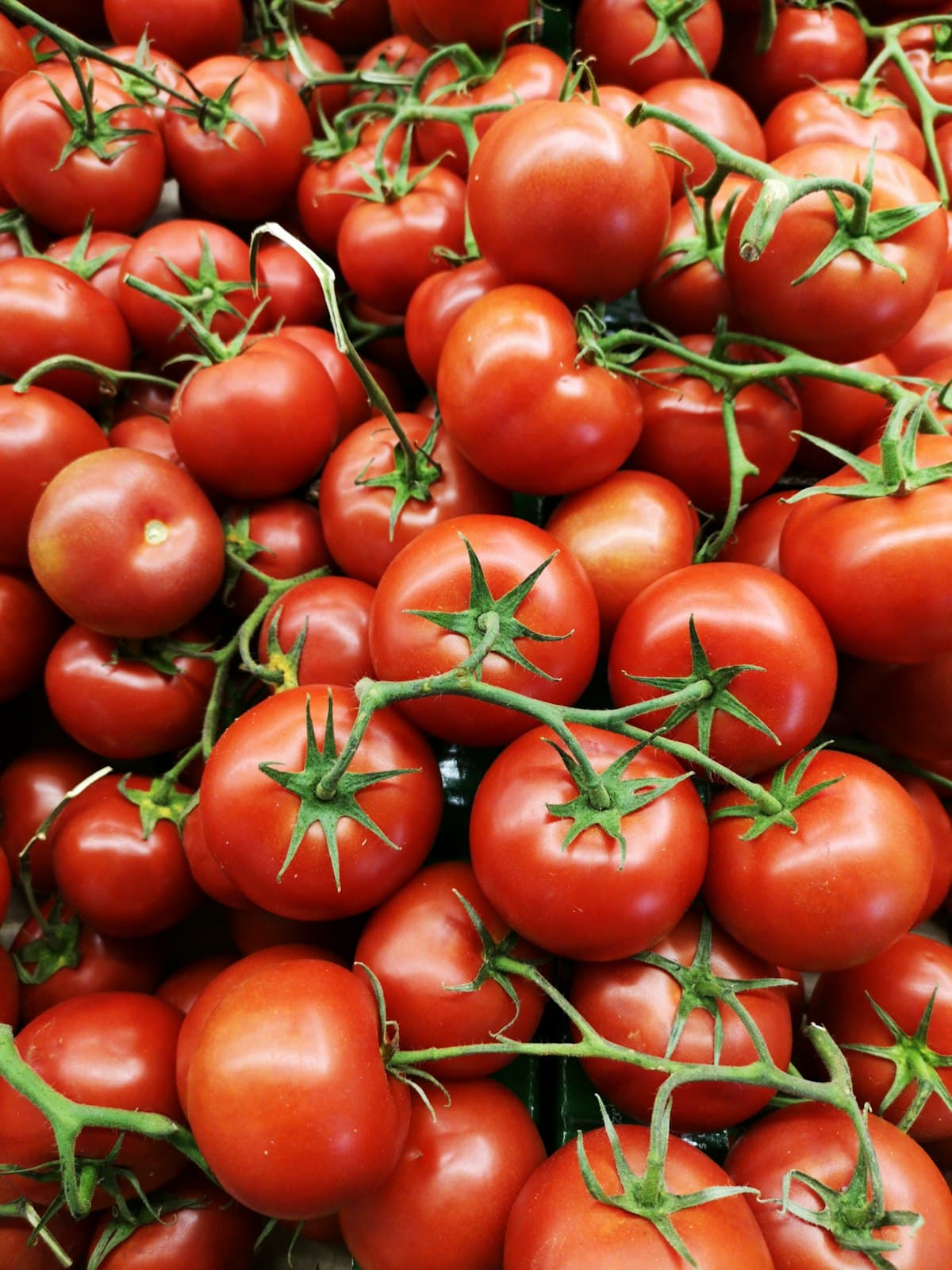 Ripe Tomato