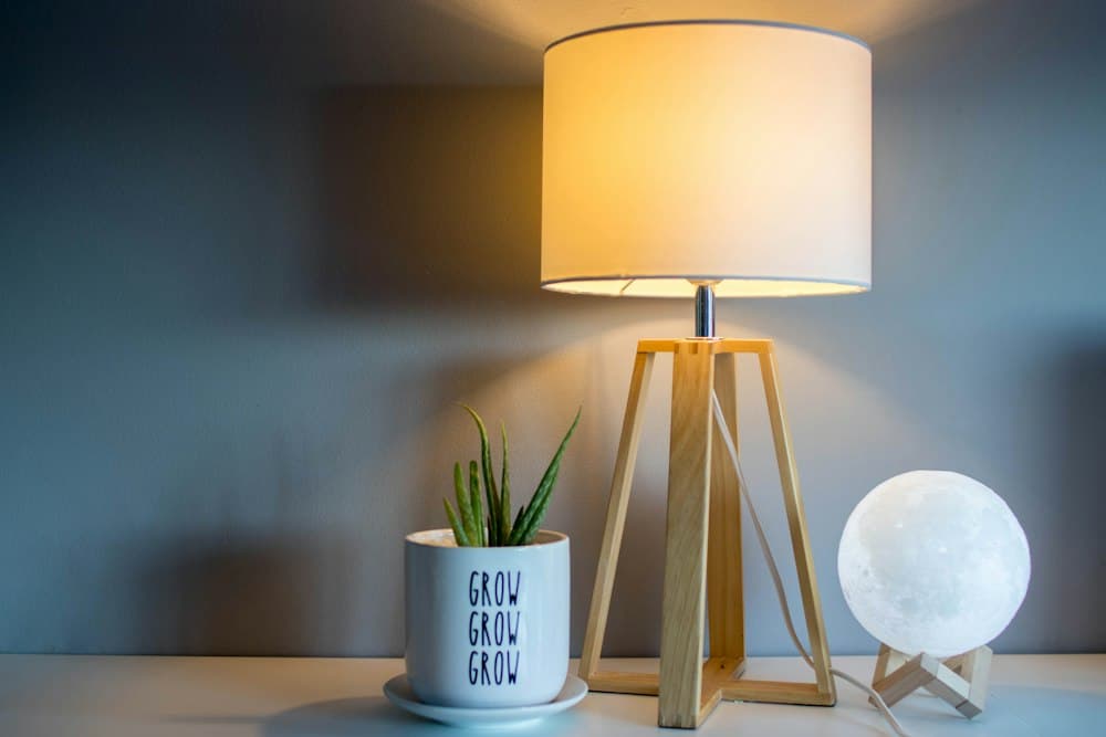 Table lamp beside a small aloe plant