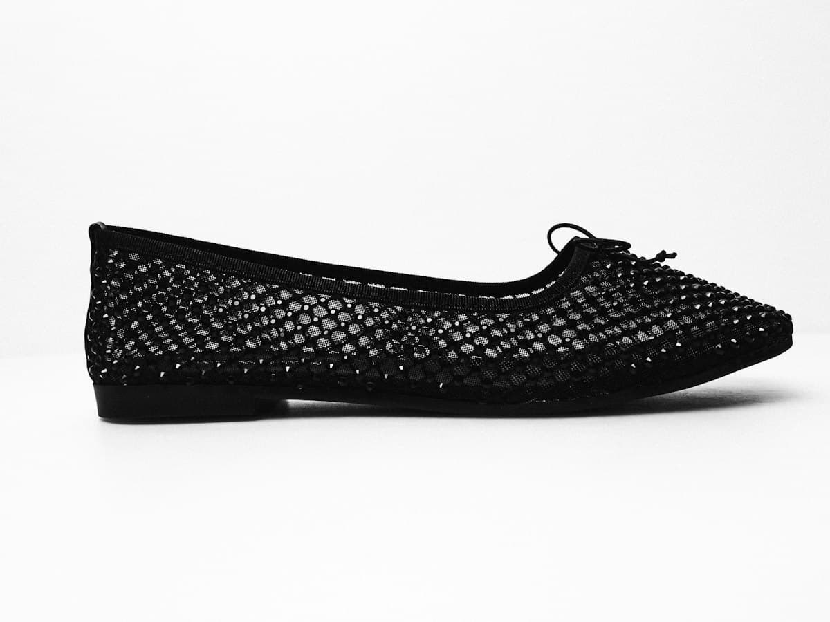 Mesh Ballerina Flat by Rupsha